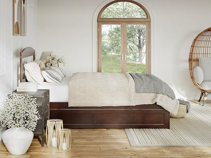AFI, Warren Queen Platform Bed with Twin XL Trundle, Walnut