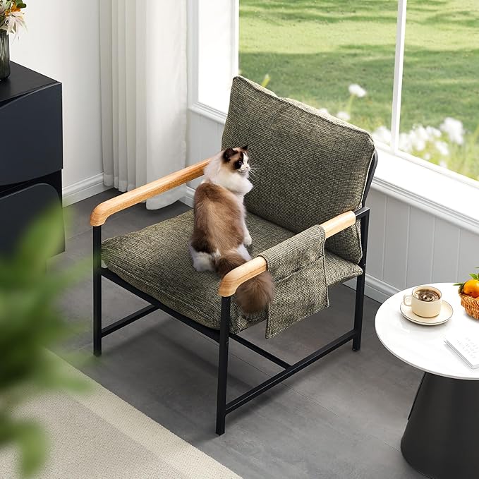 CLIPOP Modern Accent Chair, Modica Fabric Comfy Reading Chair with Wood Arms, Removable Cover, Side Pocket, Soft Cushion, Leisure Living Room Armchair for Bedroom, Home Office, Green