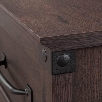 Sauder Carson Forge Vintage Rustic Computer Desk for Home Office with Drawers, in Coffee Oak