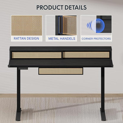 FLEXISPOT Q4 One-Piece Standing Desk with Rattan Drawers, 48 x 24 Inch Adjustable Height, Electric Stand Up Table with Monitor Shelf, Home Office Ergonomic Computer Desk with Memory Presets, Black