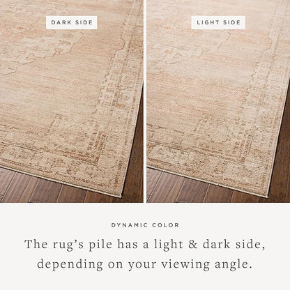 Loloi Chris Loves Julia Palma Collection PLM-02 Spice/Natural 5'-3" x 7'-6" Area Rug Vintage Style Boho Living Room Bedroom Carpet