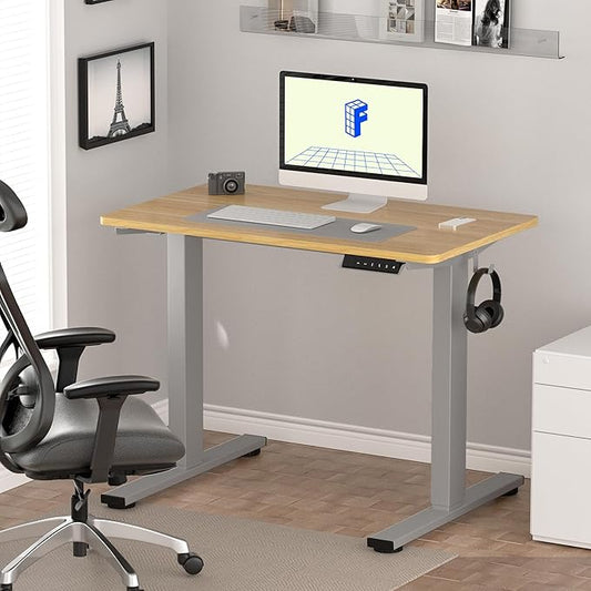 FLEXISPOT EN1 One-Piece Adjustable Desk 40 x 24 Inches Stand Up Desk Electric Height Adjustable Standing Desk with Seamless Desktop (Silver Frame + 40 inches Natural Top, 2 Packages)