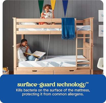 Sealy Dreamlife 8” Foam Mattress-in-a-Box, Queen, SealyComfort Gel Memory Foam, Surface-Guard Technology, Breathable Comfort