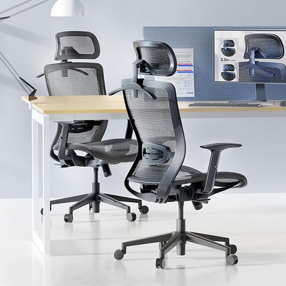 FLEXISPOT OC3 Air Ergonomic Office Chair Mesh Back Swivel Computer Chair Executive Office Desk Chairs with Adjustable Lumbar Support/2D Headrest/Lockable Backrest, Mesh Seat Cushion, Gray