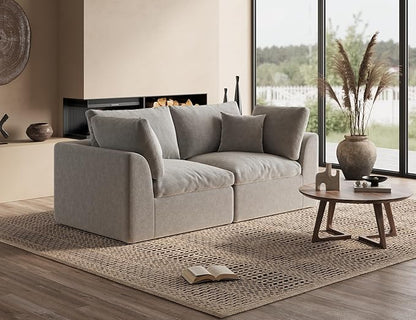 78.9" Loveseat Sofa, Cloud Boneless Couches for Living Room, Modern Modular Sectional Sofa, Oversized, Light Grey