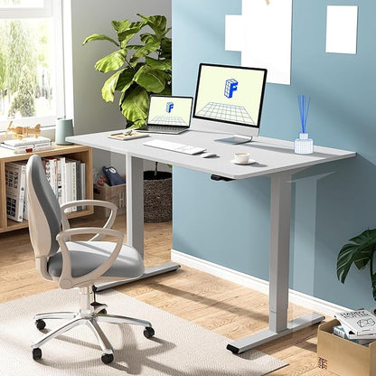 FLEXISPOT EN1 One-Piece Standing Desk 48 x 30 Inches Stand Up Desk for Workstation and Home Office (Silver Frame + 48 inches White Top, 2 Packages)