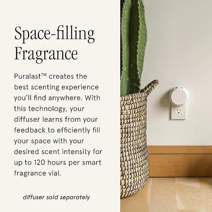 Pura & Brooklyn Candle Studio Home Scent Refill - Smart Air Diffuser - Up to 120-Hours of Luxury Fragrance per Refill - Home Essential - Clean & Safe Diffuser Fragrance - 2 Pack, Fern & Moss