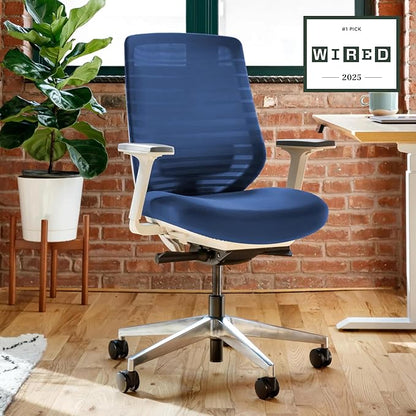 Branch Ergonomic Chair - A Versatile Desk Chair with Adjustable Lumbar Support, Breathable Mesh Backrest, and Smooth Wheels - Experience Optimal Comfort and Support - Baltic