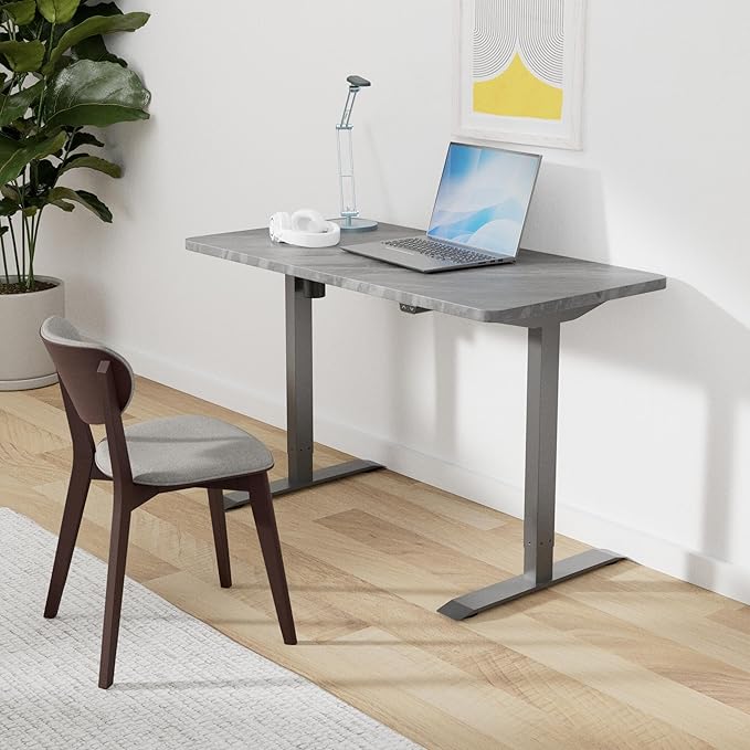 FLEXISPOT EN1 One-Piece Standing Desk 48 x 24 Inches Height Adjustable Electric Desk (Silver Frame + Marble Grey Top, 2 Packages)