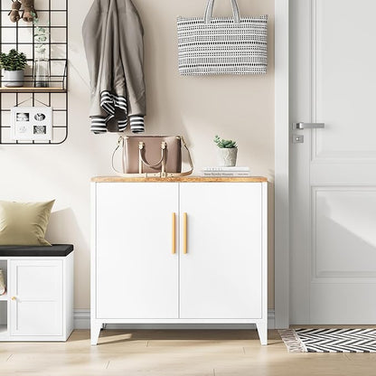 Letaya Storage Cabinet with 2 Doors,Adjustable Shelf, 16" Dx 32" Wx30 H Inches,Metal Sideboard Floor Cabinet for Entryway, Kitchen, White (White)