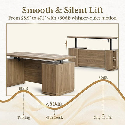 70" Standing Desk with Storage, Executive Electric Height Adjustable Stand Up Desk with AC/USB and Privacy Panel, Large One-Piece Destop, Rattan Computer Desk for Home Office, Natural Oak