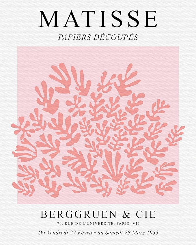 HesenDot Matisse Art wall Décor Set of 3,Unframed Blush & Salmon Pink wall art,Truly Quality Canvas Prints for 12x16in,Art poster decoration for kitchen, bathroom,living room,bedroom