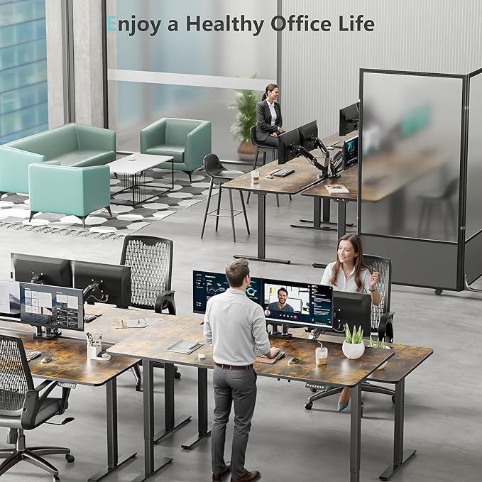 Dual Motor Electric Standing Desk with One Piece Desktop, 48 x 24 Inch Adjustable Height Sit to Stand Up Desk for Home Office, Work & Study, Black Frame & White Desktop (2 Packages)