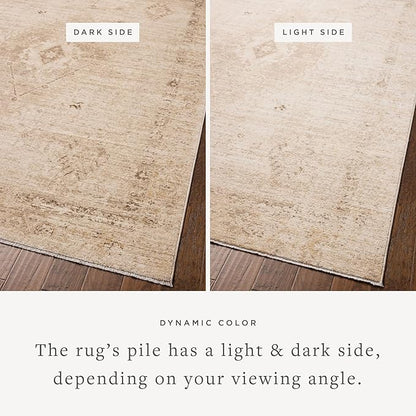 Loloi Chris Loves Julia Palma Collection PLM-06 Natural/Smoke 9'-6" x 13'-1" Fringe Area Rug Vintage Style Boho Living Room Bedroom Carpet