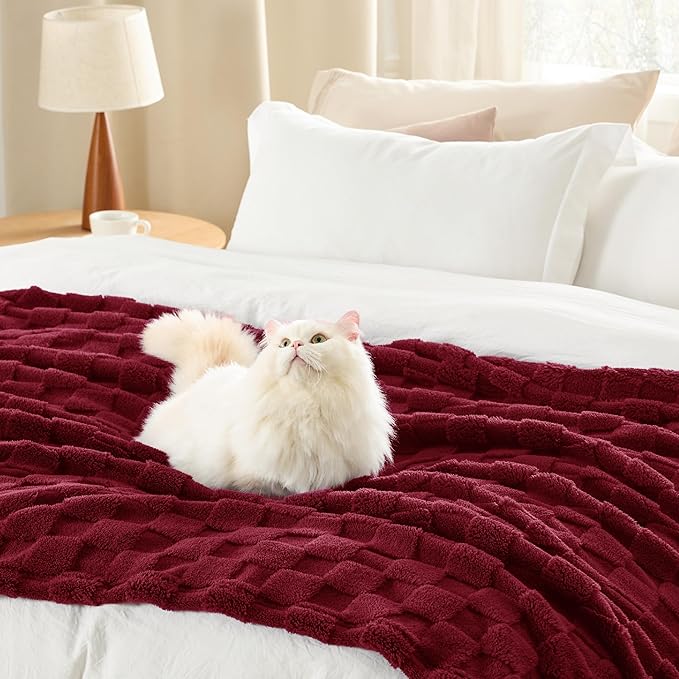 Bedsure GentleSoft Christmas Throw Blanket for Couch - Red Fall Checkered Fleece Red Blankets Gifts for Women Men Girls, Cute Soft Cozy Throw for Bedroom Home Decor Gifts, 50x60 Inches