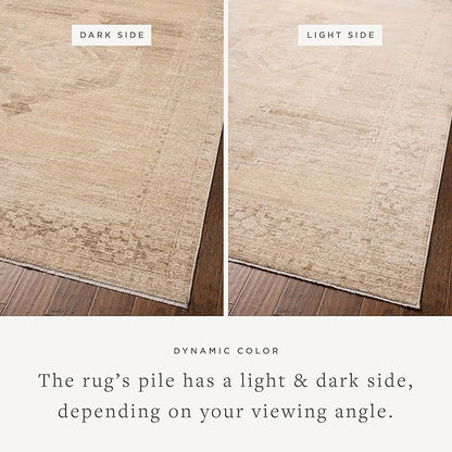 Loloi Chris Loves Julia Palma Collection PLM-07 Wheat/Taupe 5'-3" x 7'-6" Fringe Area Rug Vintage Style Boho Living Room Bedroom Carpet