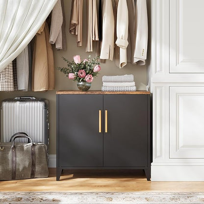 Letaya Storage Cabinet with 2 Doors,Adjustable Shelf, 16" Dx 32" Wx30 H Inches,Metal Small Buffet Sideboard Cabinet for Entryway, Kitchen (Black)