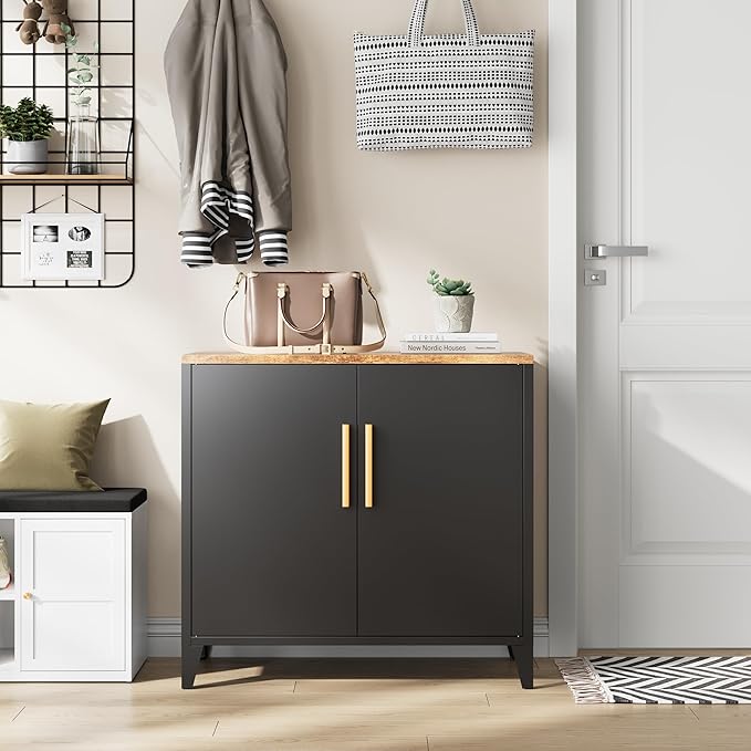 Letaya Storage Cabinet with 2 Doors,Adjustable Shelf, 16" Dx 32" Wx30 H Inches,Metal Small Buffet Sideboard Cabinet for Entryway, Kitchen (Black)