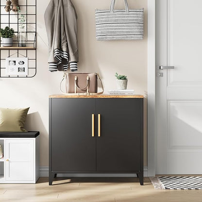 Letaya Storage Cabinet with 2 Doors,Adjustable Shelf, 16" Dx 32" Wx30 H Inches,Metal Small Buffet Sideboard Cabinet for Entryway, Kitchen (Black)
