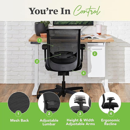 HON Convergence Ergonomic Office Chair, Breathable Back Support Mesh, Adjustable Arms, Computer Chair with Lumbar Support, Rolling Swivel Wheels, Comfortable Synchro-Tilt Recline, Fabric, Peacock