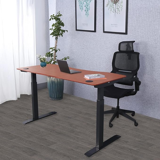 ApexDesk Elite Pro Series 60" x 27" Electric Height Adjustable Stand up Desk, Sit Stand Home Office Desk, Computer Desk - Curved Bamboo