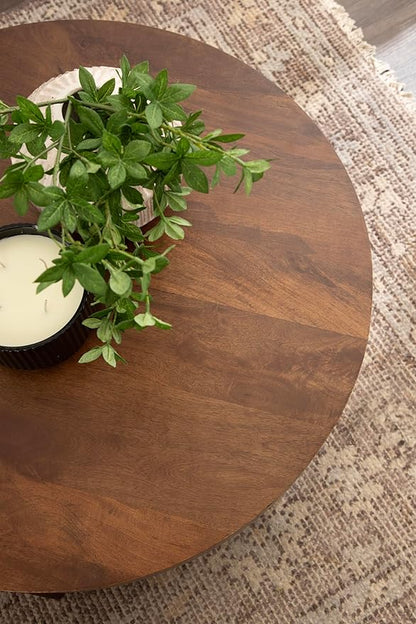 Kate and Laurel Talcott Modern Tiered Round Coffee Table, 28 x 28 x 18, Walnut Brown, Transitional Two-Tier Circle Living Room Table with Storage and Mango Wood Construction
