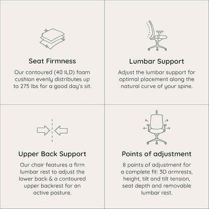 Branch Ergonomic Chair - A Versatile Desk Chair with Adjustable Lumbar Support, Breathable Mesh Backrest, and Smooth Wheels - Experience Optimal Comfort and Support - Black