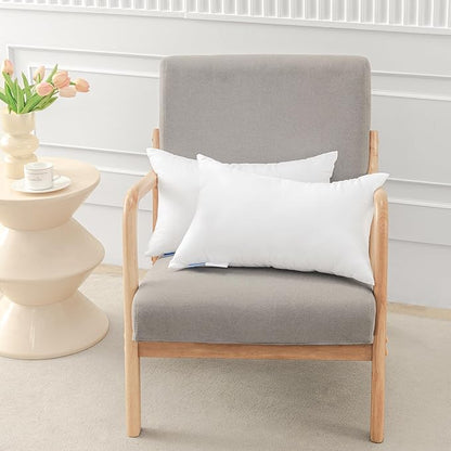 Leeden 26x26 Pillow Inserts, 26 Inch Decorative Throw Pillow Inserts, Soft Fluffy Square Throw Pillows for Couch, Sofa, Bed, and Home Decor White Pillows Pack of 2
