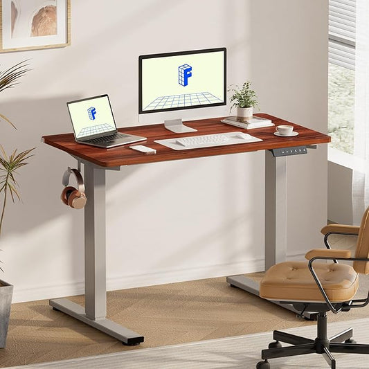 FLEXISPOT EN1 One-Piece Standing Desk, 48 x 24 Inches Electric Height Adjustable Desk for Home Office (Silver Frame + 48 in Mahogany Top, 2 Packages)