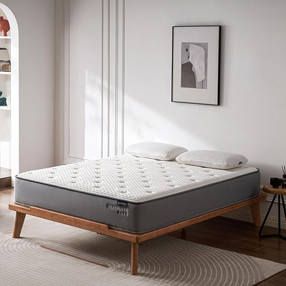 EPITEX Silverluxe Plus Twin Mattress 10 Inch, Gel Memory Foam Twin Mattress in a Box, Individual Pocket Spring for Low Motion Transfer, Medium Firm Mattress, Gray