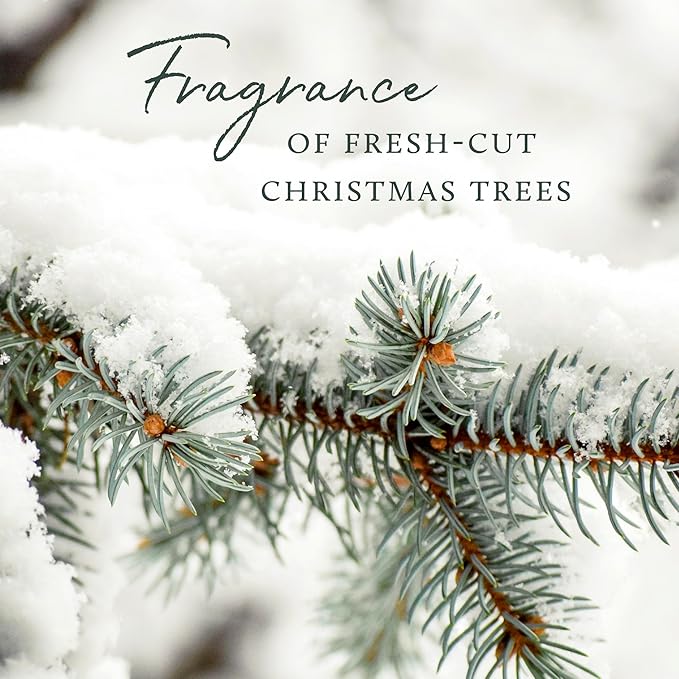 Thymes Frasier Fir Candle - Molded Green Glass Jar with Pine Needle Design - Winter Candle Gifts for Women & Men - Fresh Home Fragrance - Notes of Crisp Siberian Fir, Cedarwood & Sandalwood (6.5 oz)