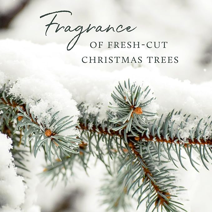 Thymes Frasier Fir Candle – Pine Needle Design – Holiday Scented Candle – Notes of Crisp Siberian Fir, Cedarwood & Sandalwood – Luxury Home Fragrance Gifts for Women & Men – Gold (Gilded, 6.5 oz)