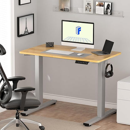 FLEXISPOT EN1 One-Piece Height Adjustable 48 x 24 inch Electric Standing Desk, Stand Up Desk for Home Office (Silver Frame + 48" Natural Top, 2 Packages)