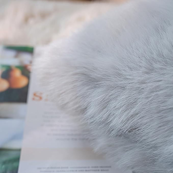 Neelvin Light Grey Faux Fur Cozy Fluffy Double-Sided Decorative Throw Pillow Covers 16x16 inch Set of 2,Velvet Pillowcase Cushion Case for Sofa Couch