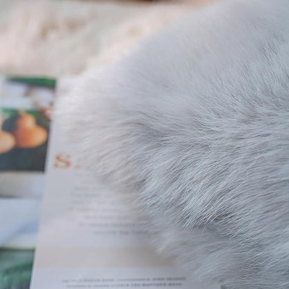 Neelvin Light Grey Faux Fur Cozy Fluffy Double-Sided Decorative Throw Pillow Covers 18x18 inch Set of 2,Velvet Pillowcase Cushion Case for Sofa Couch