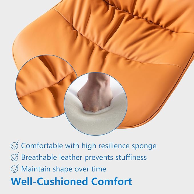 Rowill Leather Office Chair,Ergonomic Armless Desk Chair with Waterproof Cushion & Slient Wheels & SGS-Certified Class 3 Explosion-Proof Gas Lift,Ideal for Home Office,Study,Vanity(Brunt Orange)