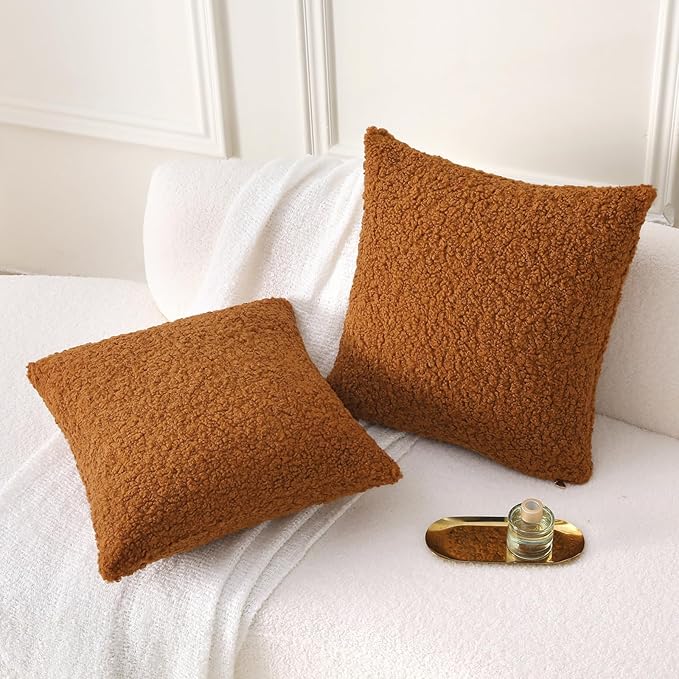 FUTEI Rust Throw Pillow Covers 18x18 Inch Set of 2,Furry Faux Fur Teddy Boucle Textured Cushion Covers,Soft Fluffy Decorative Pillow Case,Home Decor for Couch Bed Living Room Office Car