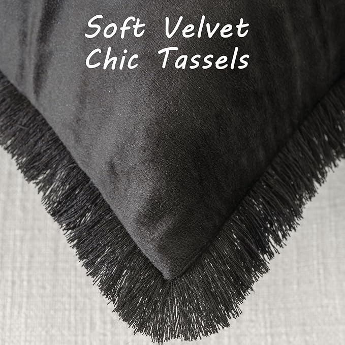 FUTEI Black Velvet Decorative Throw Pillow Covers 24x24 Set of 2,Soft Cozy Edge with Tassels European Cushion Case,Boho Modern Home Decor for Couch Bed Living Room