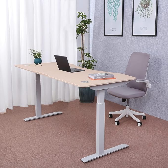 ApexDesk Elite Pro Series 60" x 27" Electric Height Adjustable Stand up Desk, Sit Stand Home Office Desk, Computer Desk - Curved Oak
