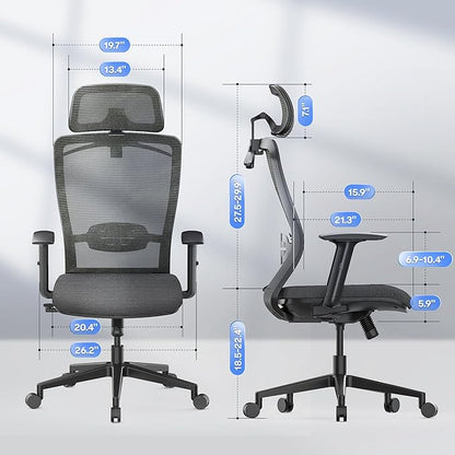 FLEXISPOT Classic Ergonomic Office Chair with High Back Swivel Computer Chair Executive Office Desk Chairs, with Lumbar Support/2D Headrest/Lockable Tilt Function, Foam Seat Cushion, Gray