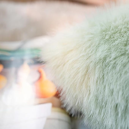 Neelvin Green Faux Fur Cozy Fluffy Double-Sided Decorative Throw Pillow Covers 18x18 inch Set of 2,Velvet Pillowcase Cushion Case for Sofa Couch