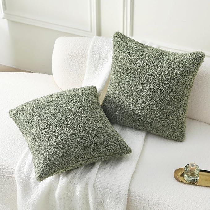 FUTEI Sage Green Throw Pillow Covers 20x20 Inch Set of 2,Furry Faux Fur Teddy Boucle Textured Cushion Covers,Soft Fluffy Decorative Pillow Case,Home Decor for Couch Bed Living Room Office Car