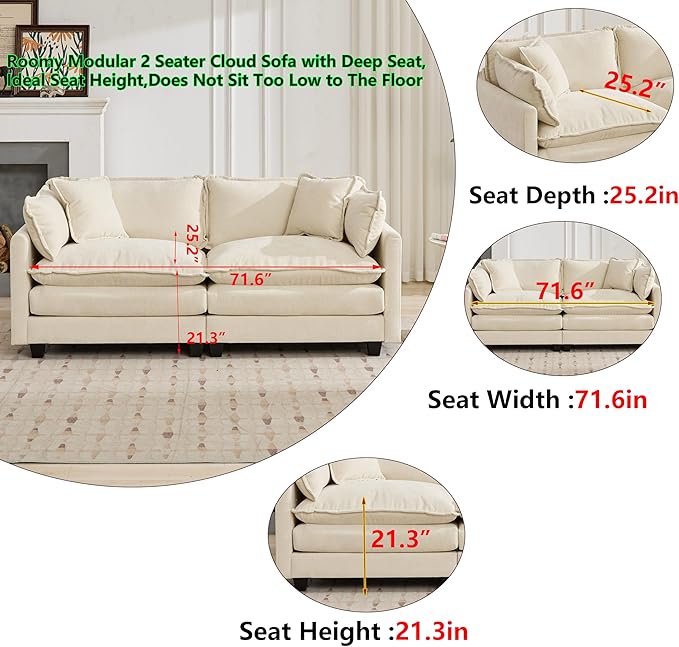 Aoowow Modular Sectional 2 Seater Cloud Sofa Couch for Living Room,78" Loveseat Couch with Deep Seat,Modern Chenille 2 Seat Sofas,Fluffy Small Couches for Bedroom,Small Spaces (Beige, 2 Seater)