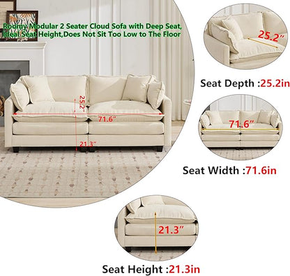 Aoowow Modular Sectional 2 Seater Cloud Sofa Couch for Living Room,78" Loveseat Couch with Deep Seat,Modern Chenille 2 Seat Sofas,Fluffy Small Couches for Bedroom,Small Spaces (Beige, 2 Seater)