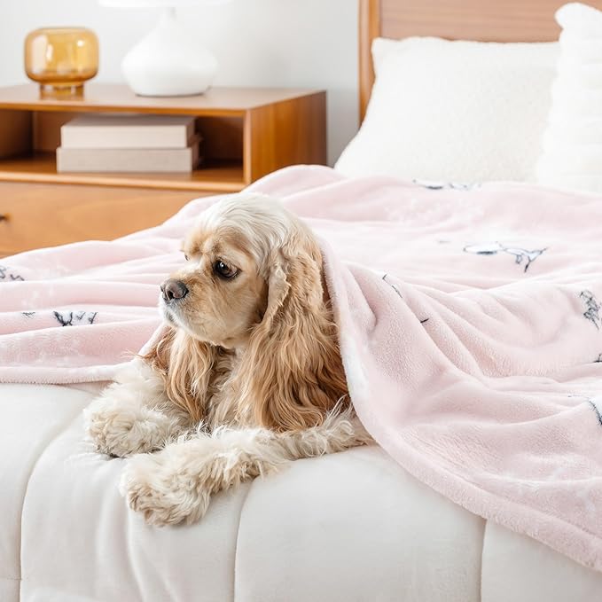 Berkshire Blanket Peanuts VelvetLoft Cute Character Snoopy Plush Throw Blanket,Peanuts Snoopy Make A Wish Spring Pink,Throw 55 in x 70 in (Official Peanuts Product)