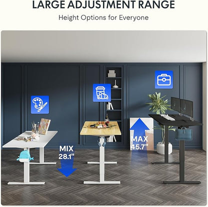FLEXISPOT One-Piece Electric Standing Desk, 48 x 30 Inches Adjustable Desk with Seamless Desktop, Memory Controller Height Adjustment (Black Frame + Black Desktop, 2 Packages)
