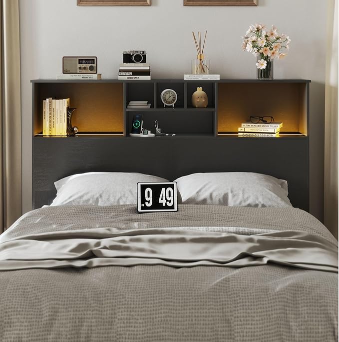 Apicizon 65" Headboard Queen Size Bed, Black Storage Headboard with USB Charging Station, with Adjustable LED Lights for Bedroom, Fashion Black