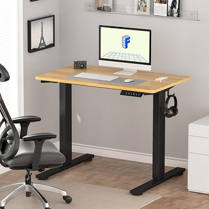 FLEXISPOT EN1 Whole-Piece Standing Desk 40" x 24" Electric Small Desk for Home Office (Black Frame + Maple Top, 2 Packages)