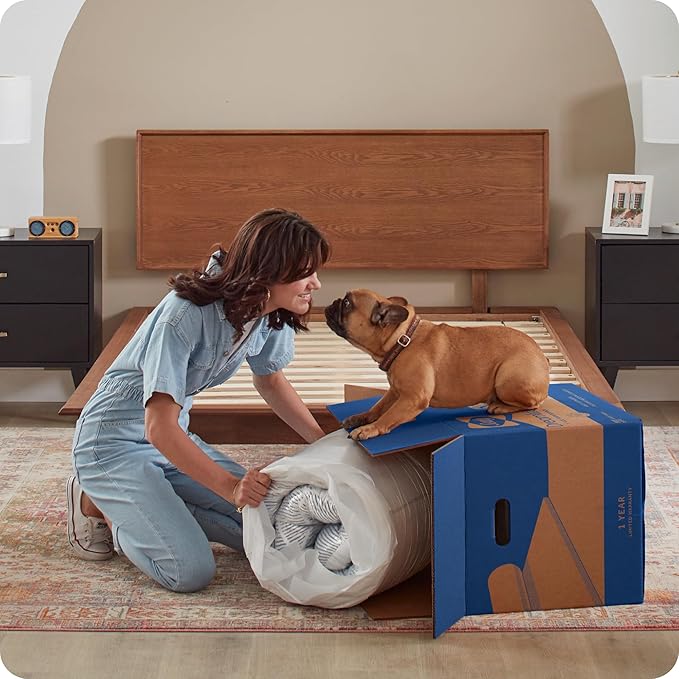 Sealy Dreamlife 8” Foam Mattress-in-a-Box, Twin