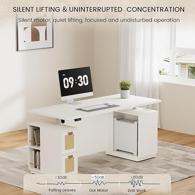 71" Executive Desk with Storage & Privacy Panel, Electric Adjustable Height Standing Desk for Home Office, 1.18" Desktop, Built-in Charging Station,White Rattan